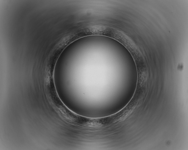 X0000097980644200803241300