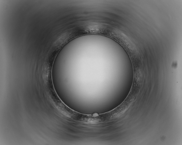 X0000097980645200803241300