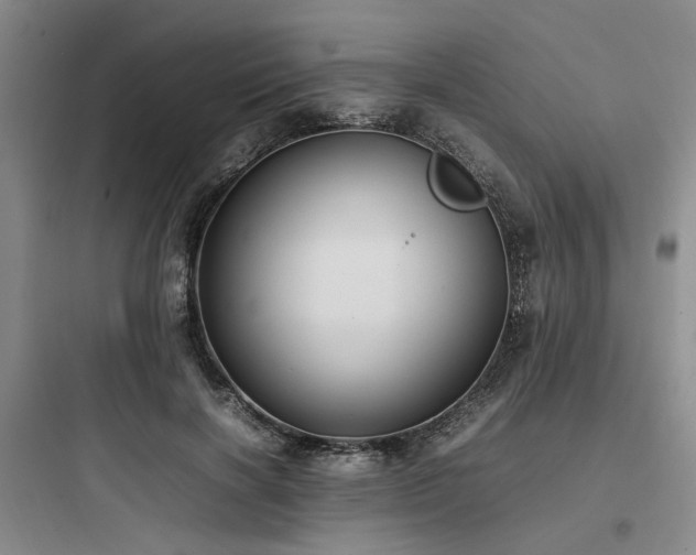 X0000097980646200803241300