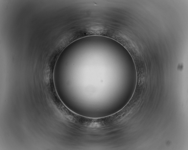 X0000097980647200803241300