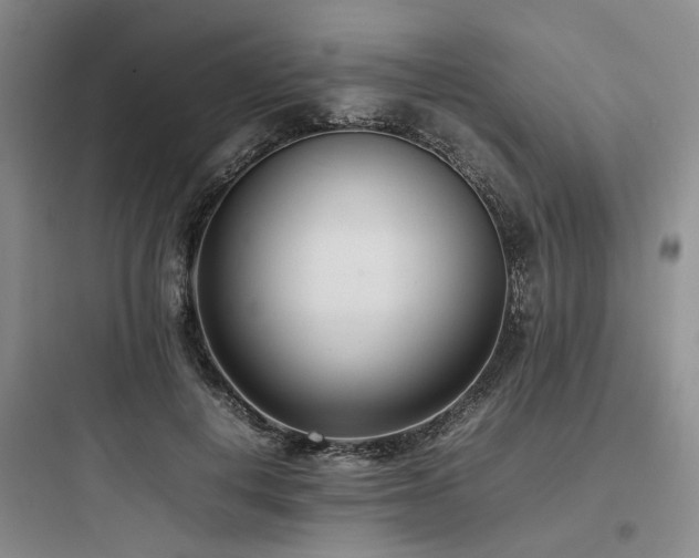 X0000097980648200803241300
