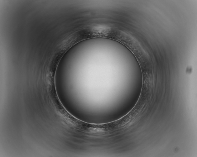 X0000097980649200803241300
