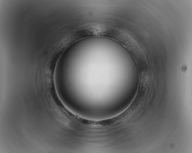 X0000097980650200803241300