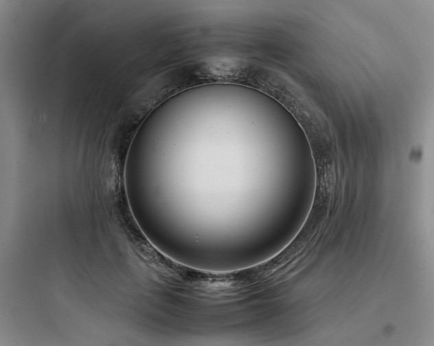 X0000097980651200803241300