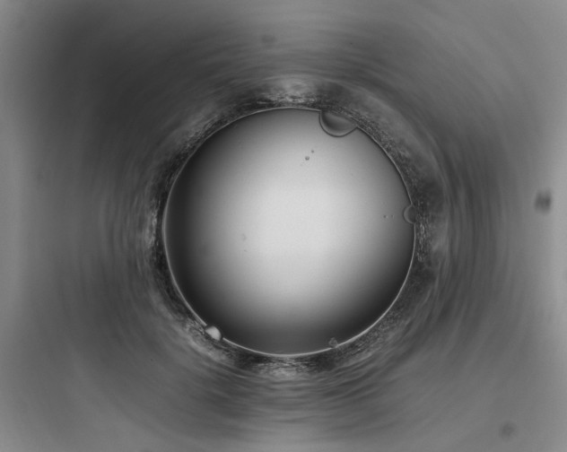 X0000097980652200803241300
