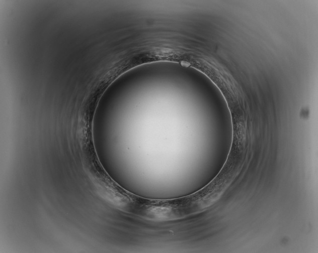 X0000097980653200803241300