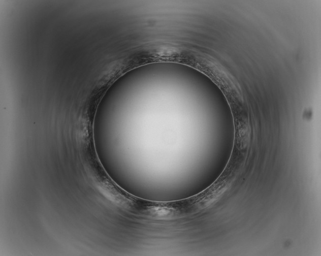 X0000097980654200803241300