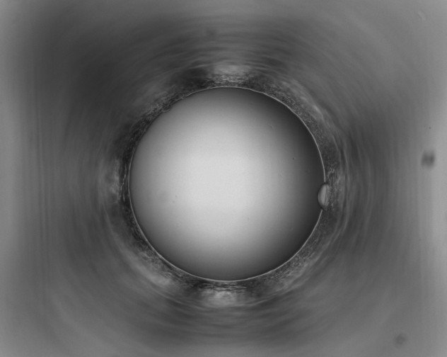 X0000097980655200803241300