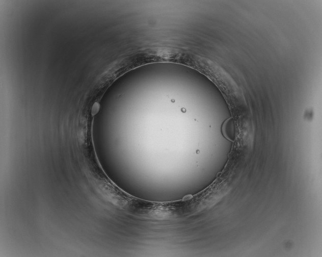 X0000097980656200803241300