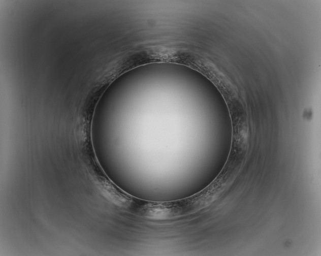 X0000097980658200803241300