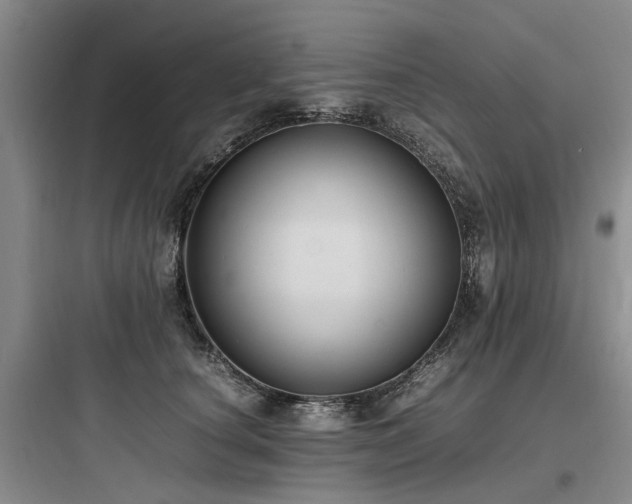 X0000097980660200803241300