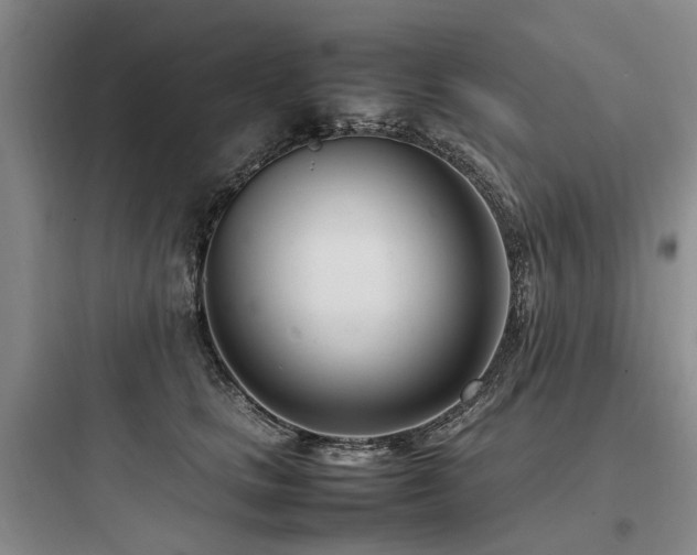 X0000097980661200803241300