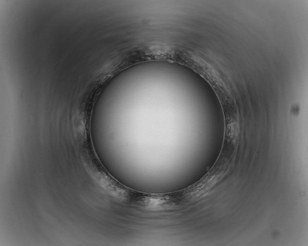 X0000097980662200803241300