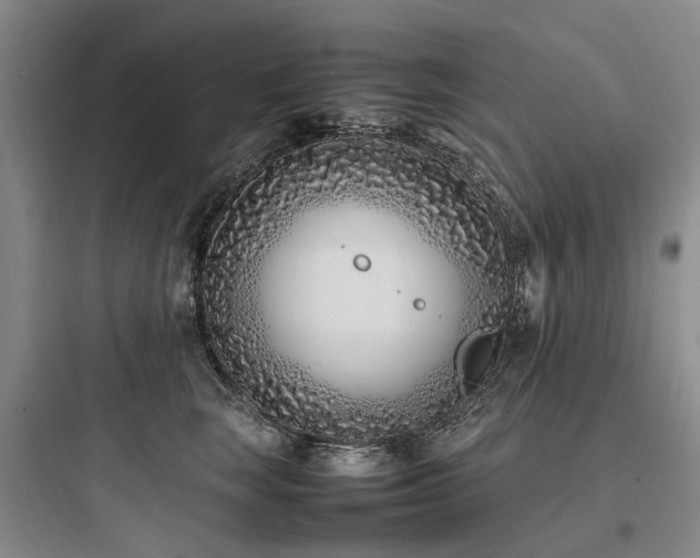 X0000097980663200803241300