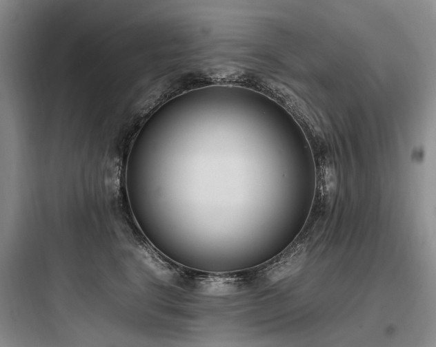 X0000097980664200803241300