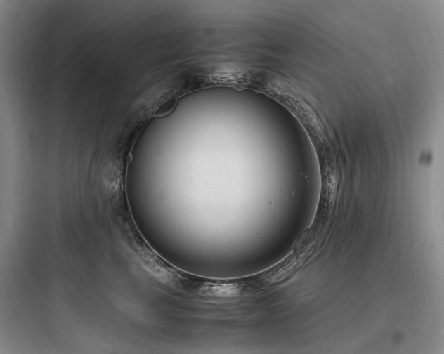 X0000097980665200803241301