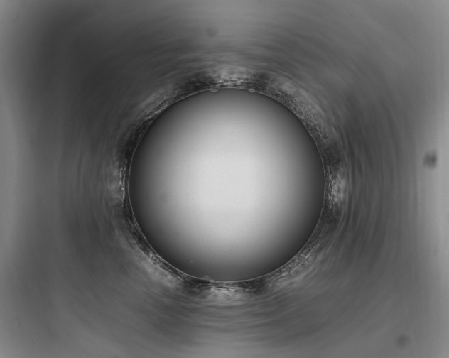 X0000097980666200803241301