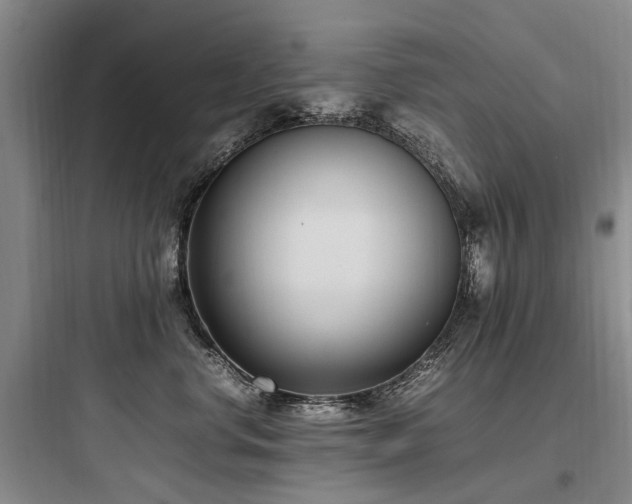 X0000097980668200803241301