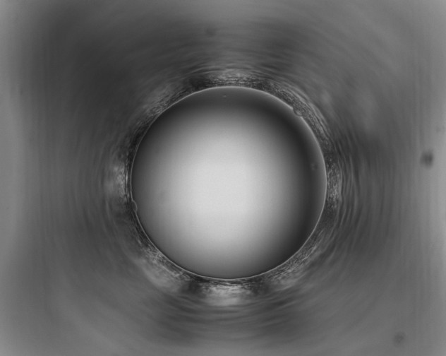 X0000097980669200803241301
