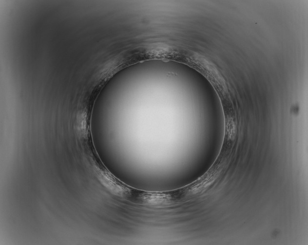 X0000097980670200803241301