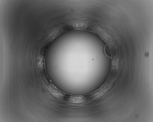 X0000097980671200803241301