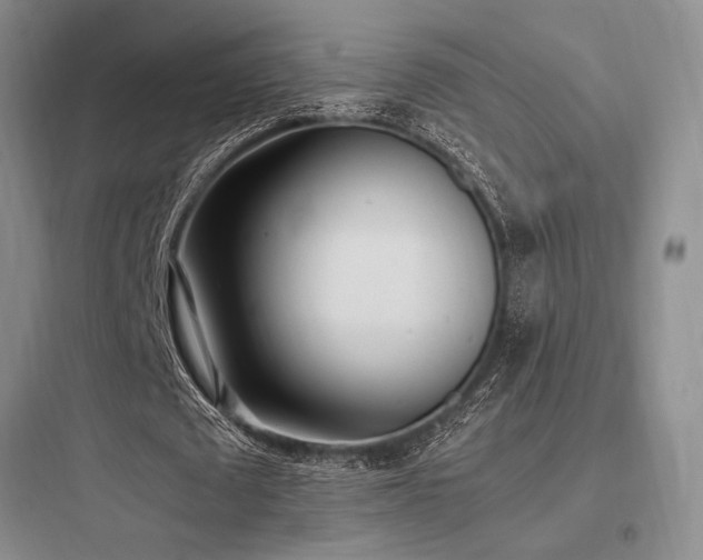 X0000097980673200803241300