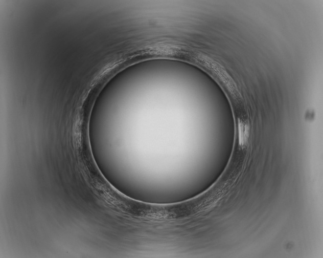 X0000097980675200803241300