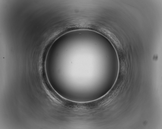 X0000097980677200803241300
