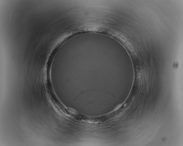 X0000097980678200803241300