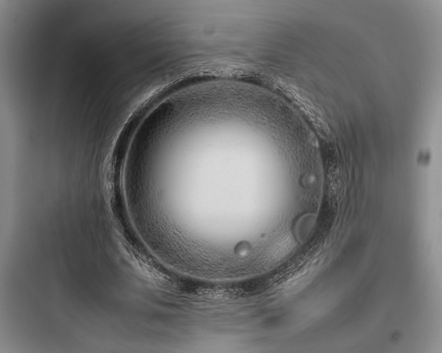 X0000097980679200803241300