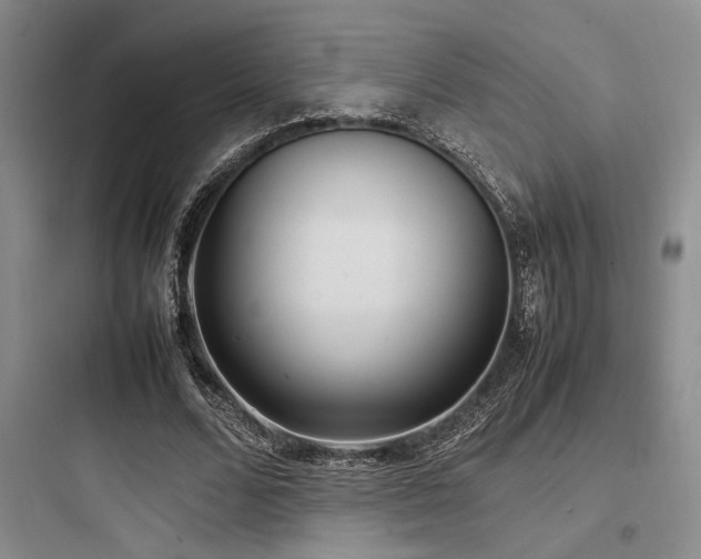 X0000097980680200803241300