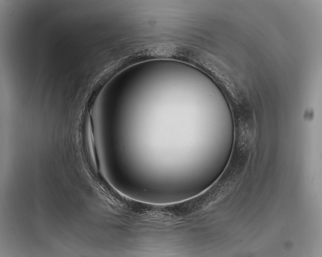 X0000097980681200803241300