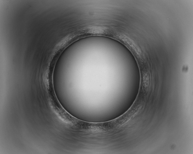 X0000097980682200803241300