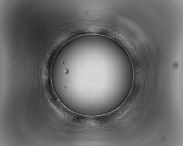 X0000097980683200803241300