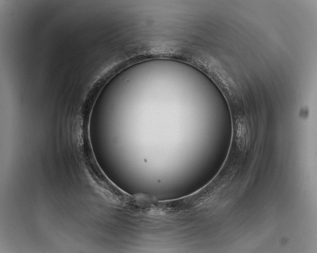 X0000097980684200803241300
