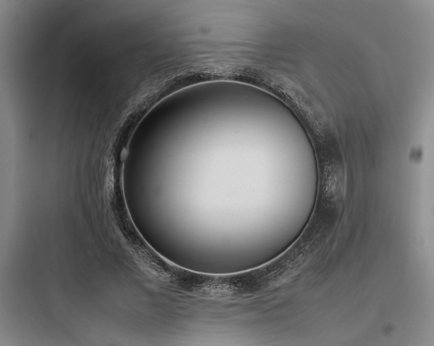 X0000097980685200803241300