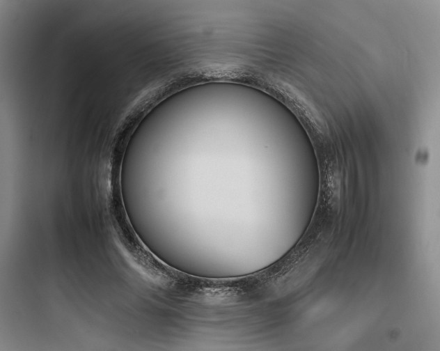 X0000097980686200803241300