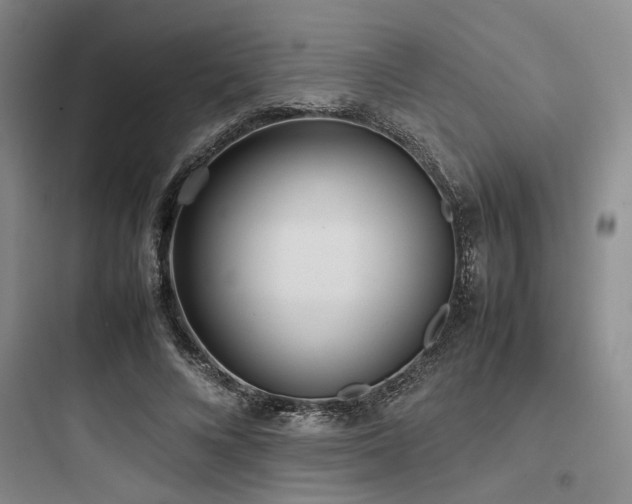 X0000097980688200803241300