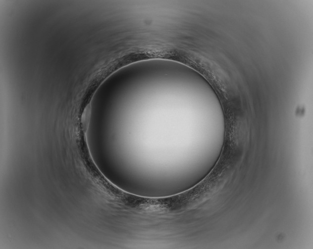 X0000097980689200803241300