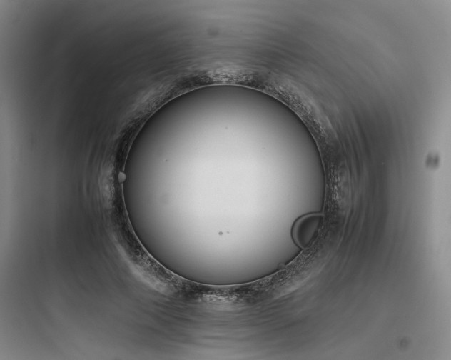 X0000097980690200803241300