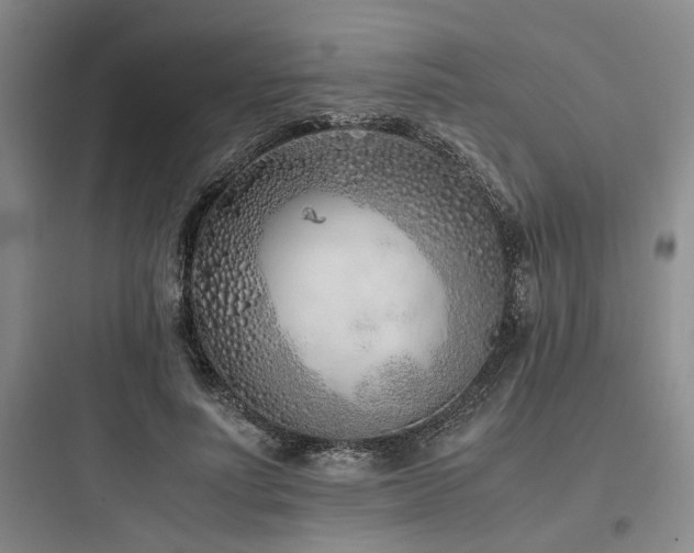 X0000097980691200803241300