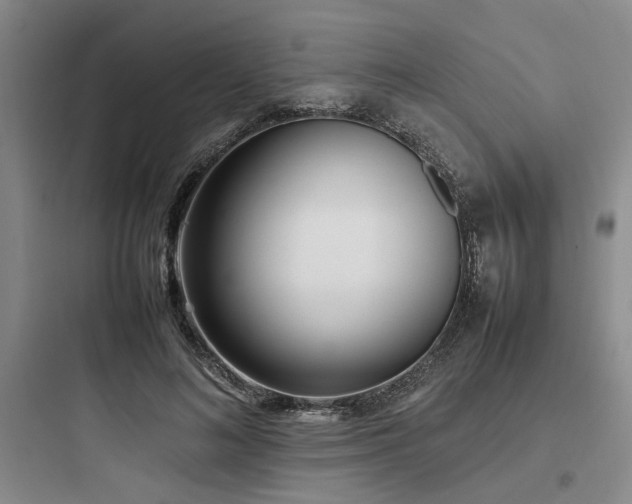 X0000097980692200803241259