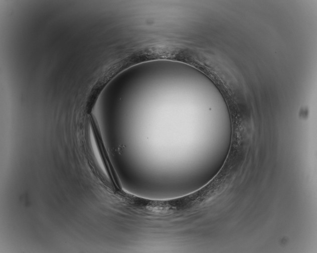 X0000097980693200803241259