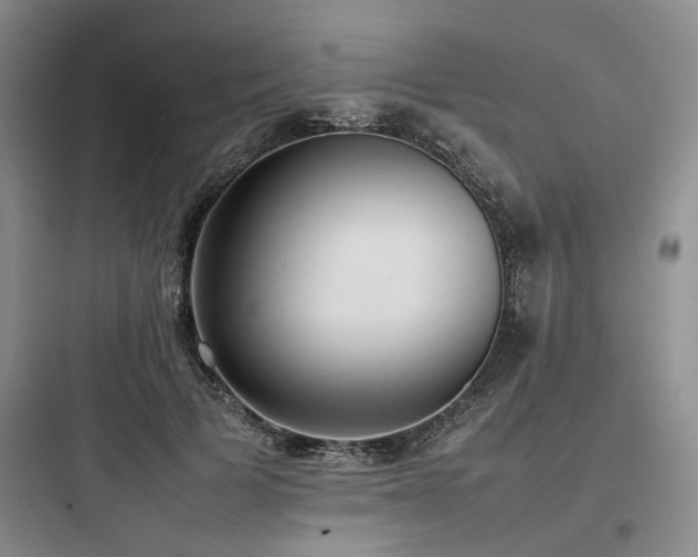 X0000097980697200803241259