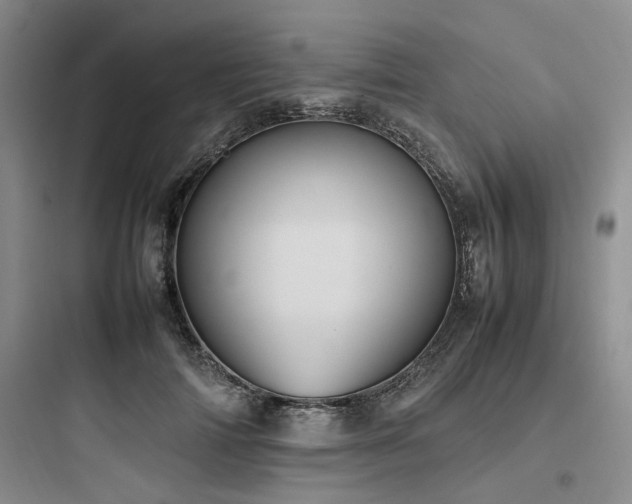 X0000097980698200803241259