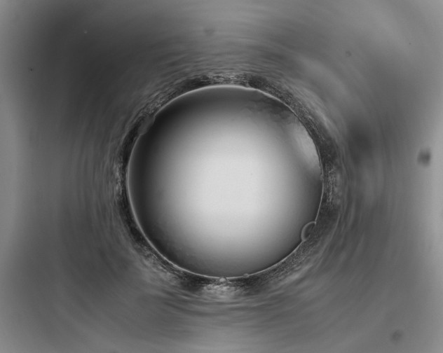 X0000097980699200803241259