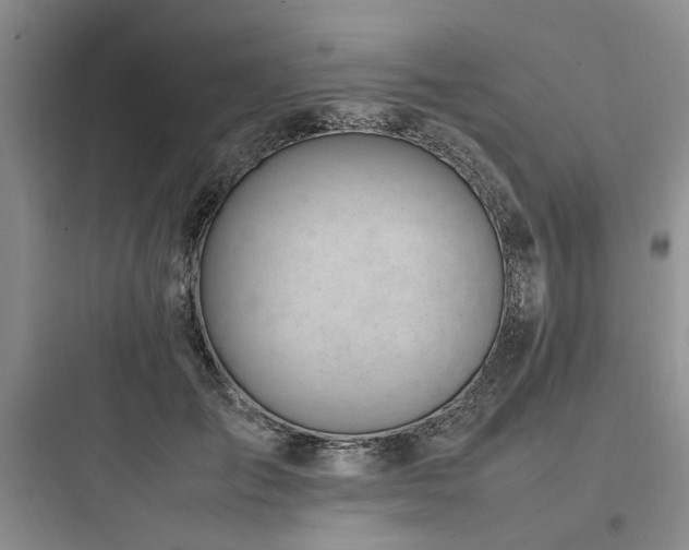 X0000097980701200803241259