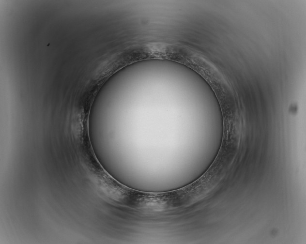 X0000097980702200803241259