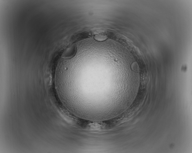 X0000097980703200803241259