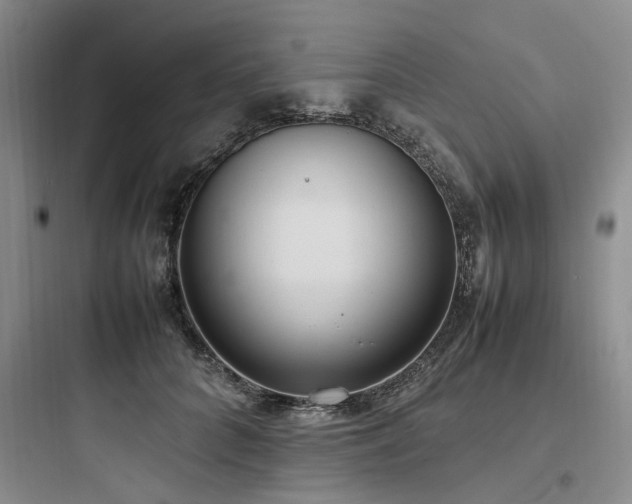 X0000097980704200803241259